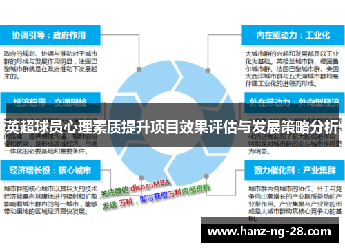 英超球员心理素质提升项目效果评估与发展策略分析 英超球员心理素质提升项目效果评估与发展策略分析