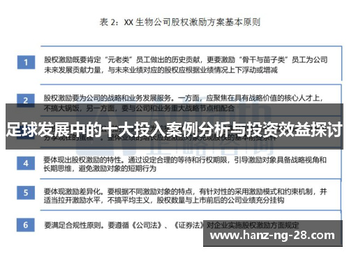 足球发展中的十大投入案例分析与投资效益探讨 足球发展中的十大投入案例分析与投资效益探讨